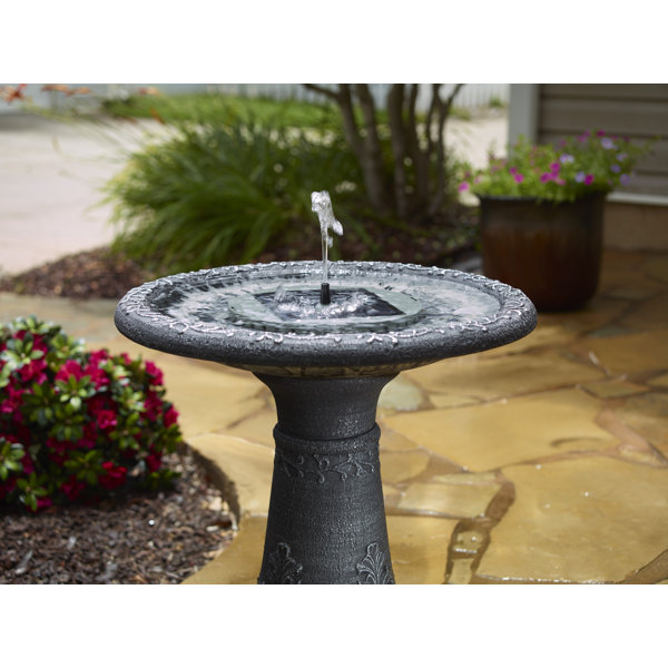 Arlmont & Co. Aquanura Birdbath Insert & Reviews Wayfair